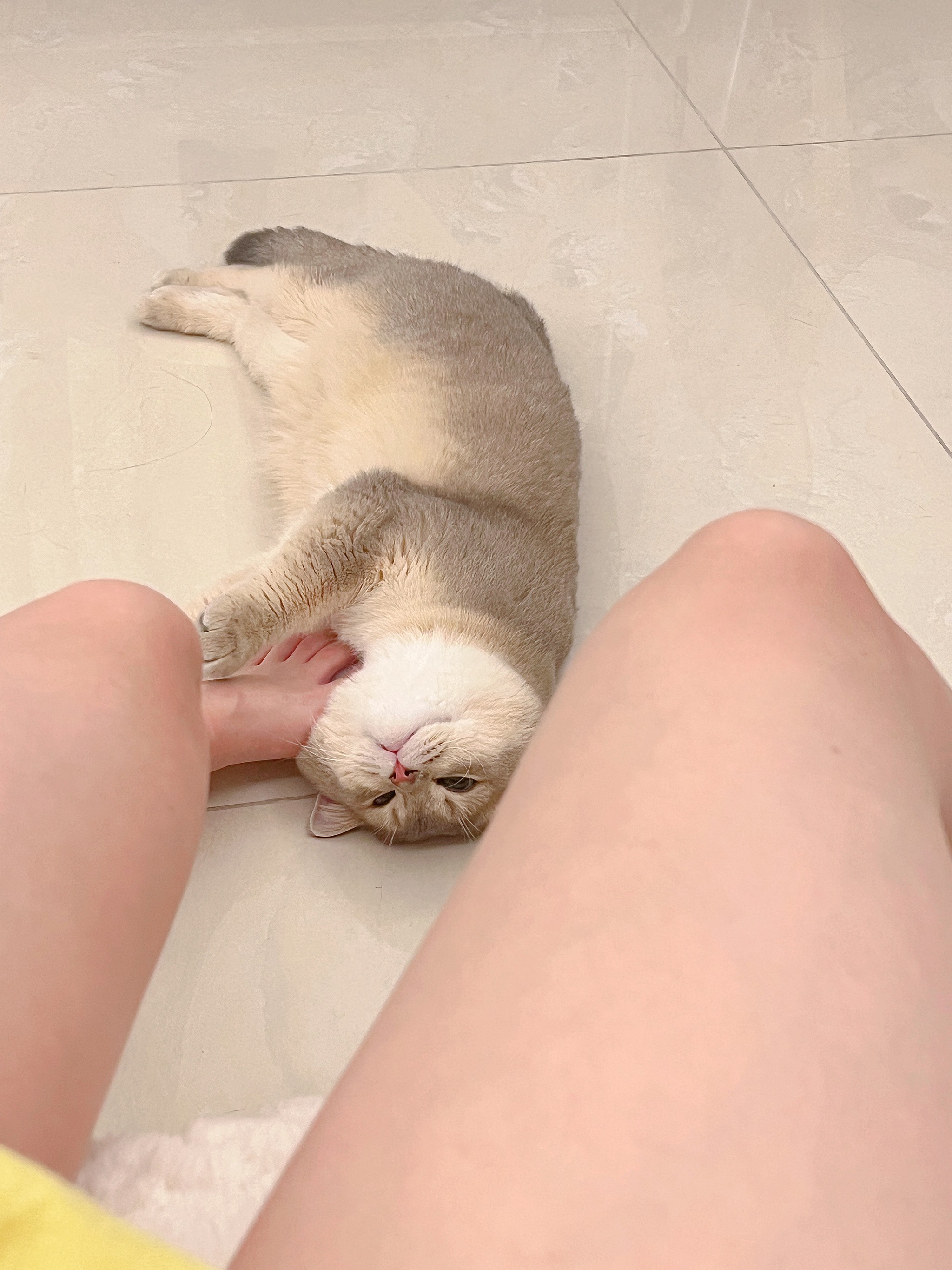 眼酱大魔王w – NO.0102 23年06月fantia会员合集[42P3V]-XikXak